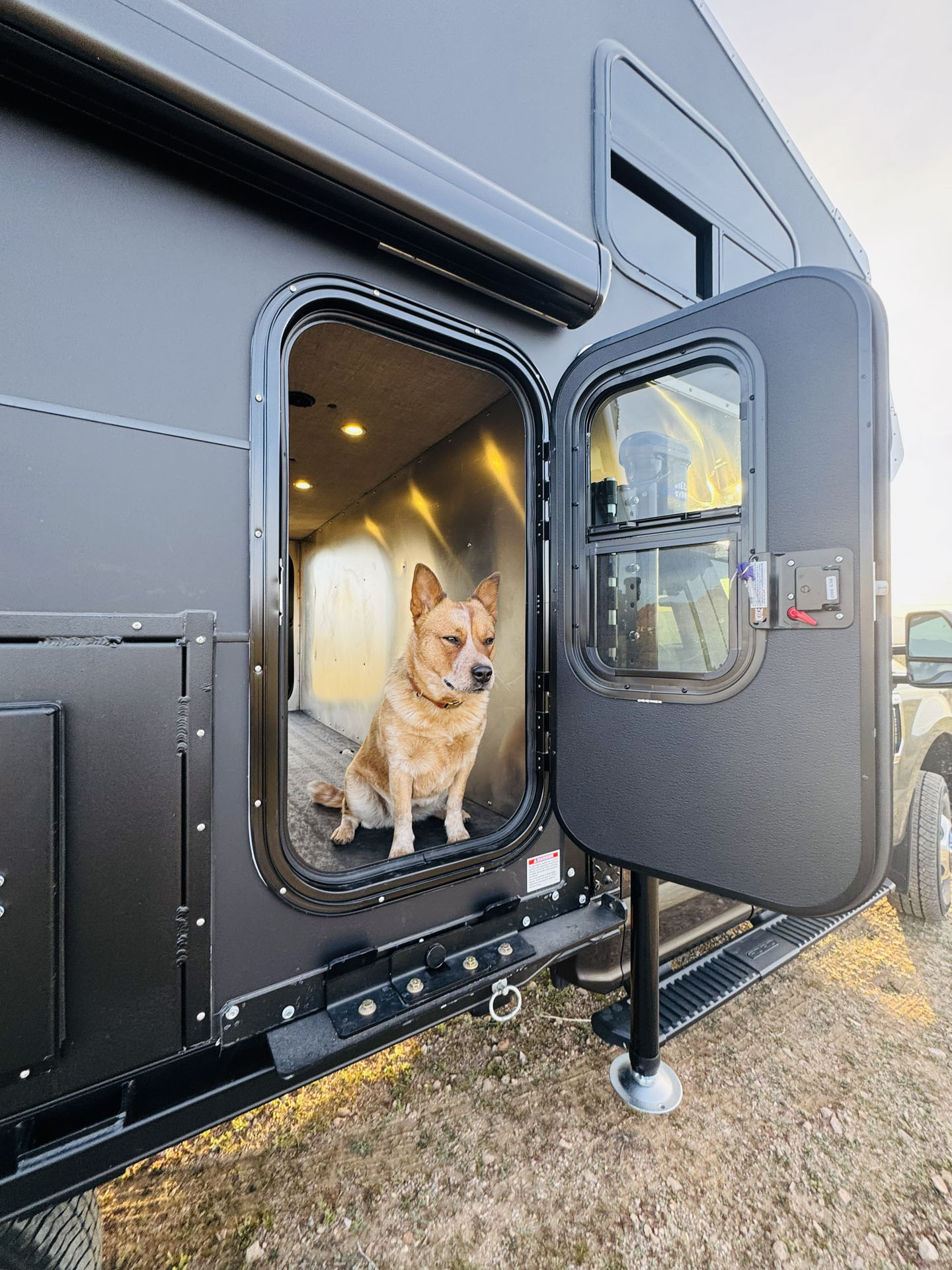 kingstar k9 kennel